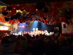 Scnaegge Ball reinschauen Ag