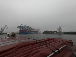 Jubi Bummel Hamburg