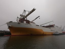 Jubi Bummel Hamburg