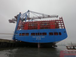 Jubi Bummel Hamburg